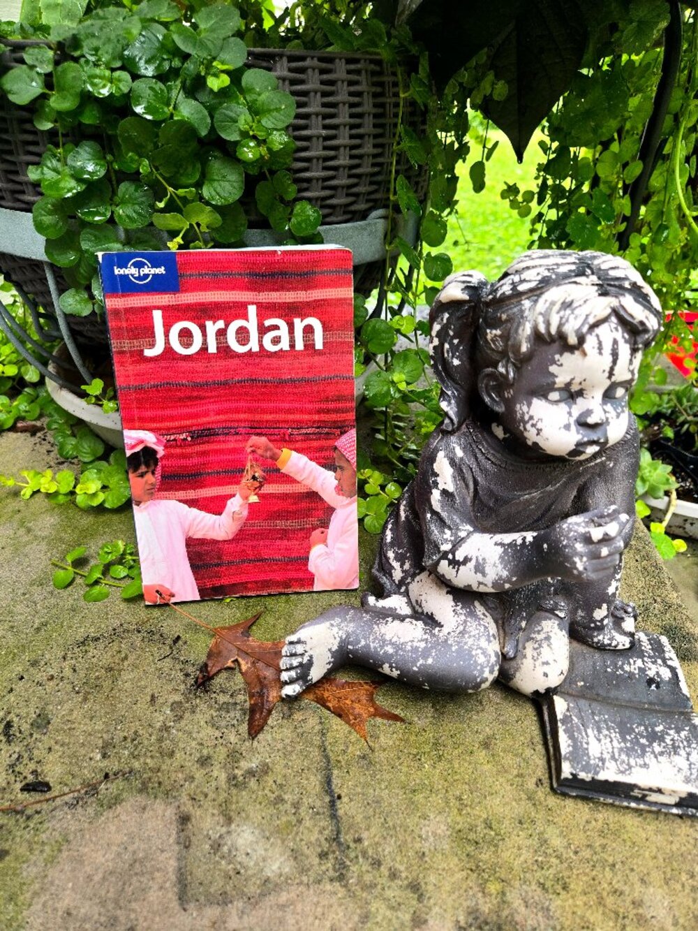 Lonely Planet Jordan (Travel Guide) by Jenny Walker (Paperback) – Essential